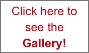 Click here to see the Gallery!